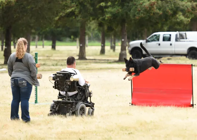 2016 RVSC Spring Schutzhund Trial — a working dog completing an obstacle or field exercise — photo 22