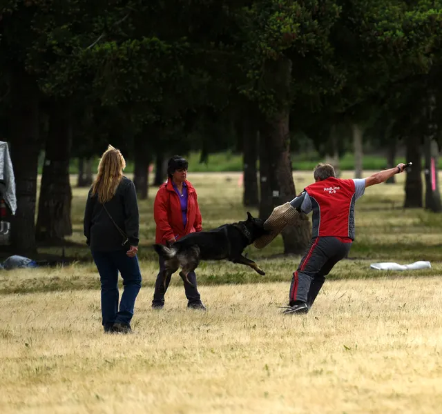 2016 RVSC Spring Schutzhund Trial — a working dog completing an obstacle or field exercise — photo 27