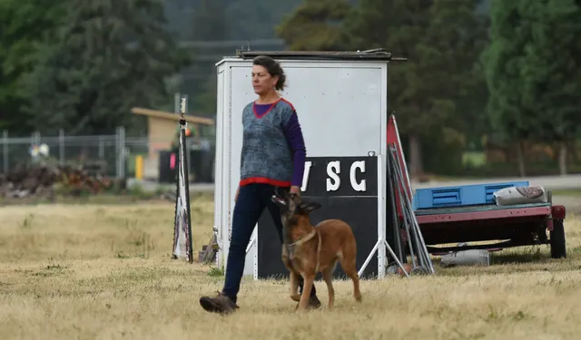 2016 RVSC Spring Schutzhund Trial — a working dog engaging the helper during the protection phase — photo 10