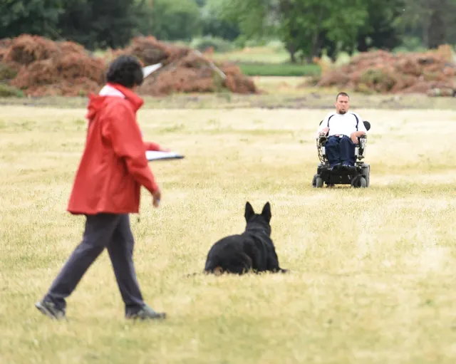 2016 RVSC Spring Schutzhund Trial — a working dog engaging the helper during the protection phase — photo 20