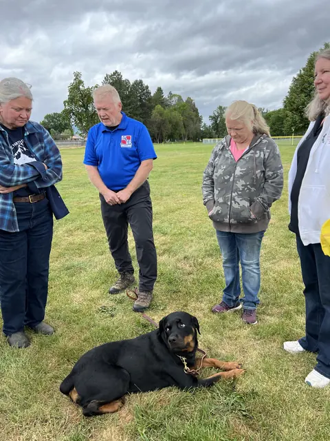 Working dog evaluation during the May 2022 RVSC spring trial — photo 11