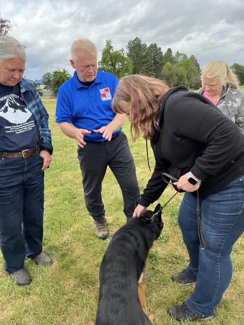Working dog evaluation during the May 2022 RVSC spring trial — photo 12
