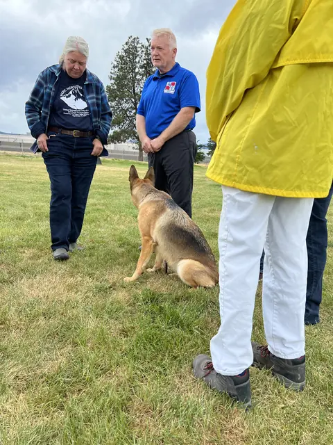 Working dog evaluation during the May 2022 RVSC spring trial — photo 19