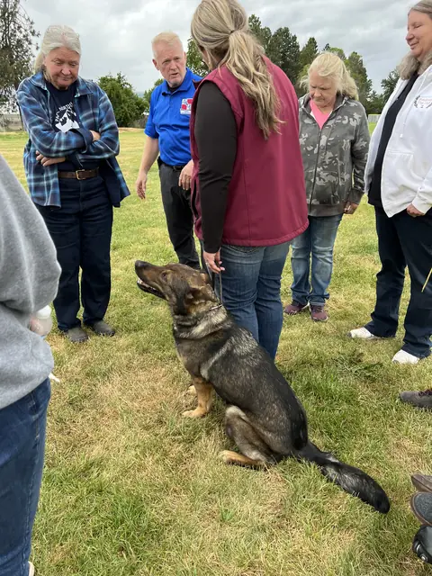 Working dog evaluation during the May 2022 RVSC spring trial — photo 21