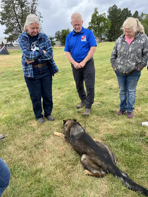 Working dog evaluation during the May 2022 RVSC spring trial — photo 22