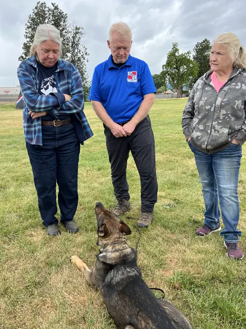 Working dog evaluation during the May 2022 RVSC spring trial — photo 23