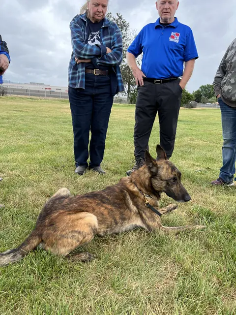 Working dog evaluation during the May 2022 RVSC spring trial — photo 25