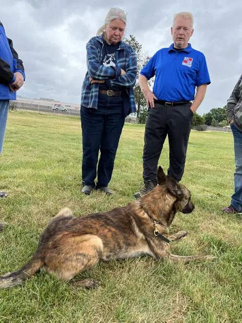 Working dog evaluation during the May 2022 RVSC spring trial — photo 26