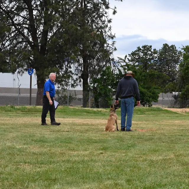 Dog and handler on the field at the May 2022 RVSC spring trial — photo 01