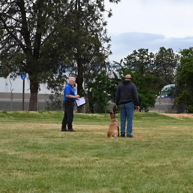 Dog and handler on the field at the May 2022 RVSC spring trial — photo 04