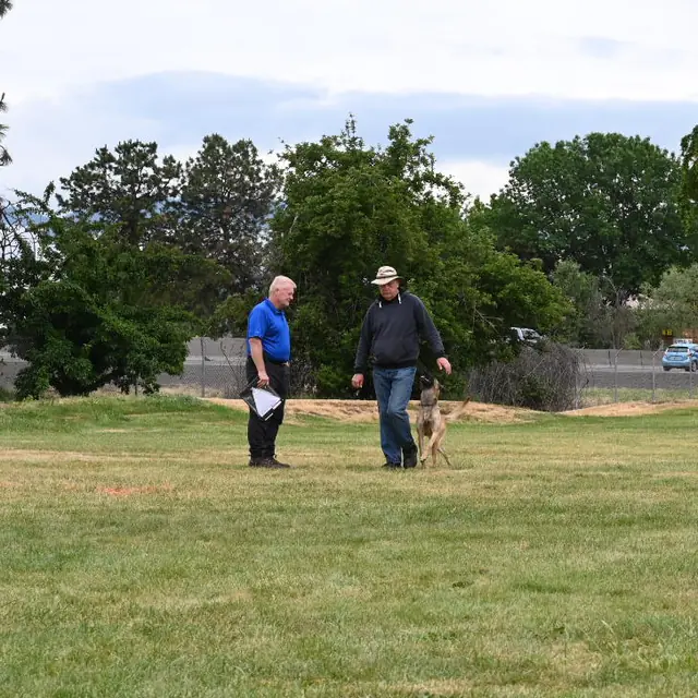 Dog and handler on the field at the May 2022 RVSC spring trial — photo 06