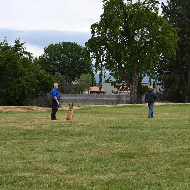 Dog and handler on the field at the May 2022 RVSC spring trial — photo 08