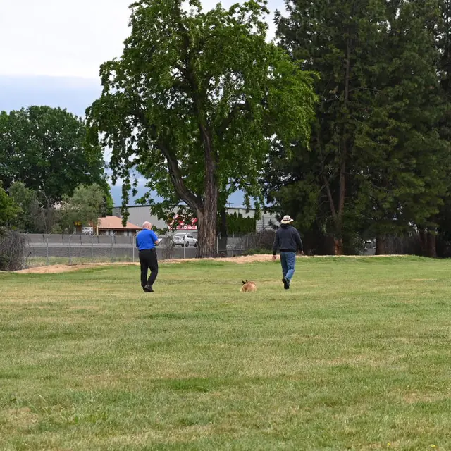 Dog and handler on the field at the May 2022 RVSC spring trial — photo 09