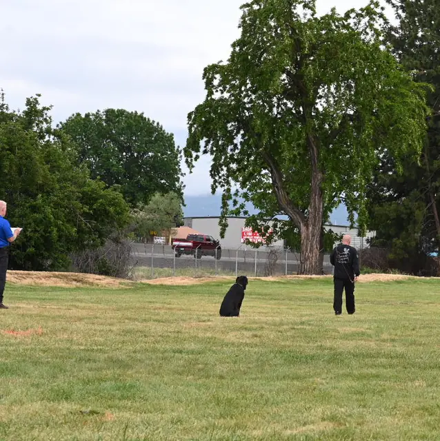 Dog and handler on the field at the May 2022 RVSC spring trial — photo 14