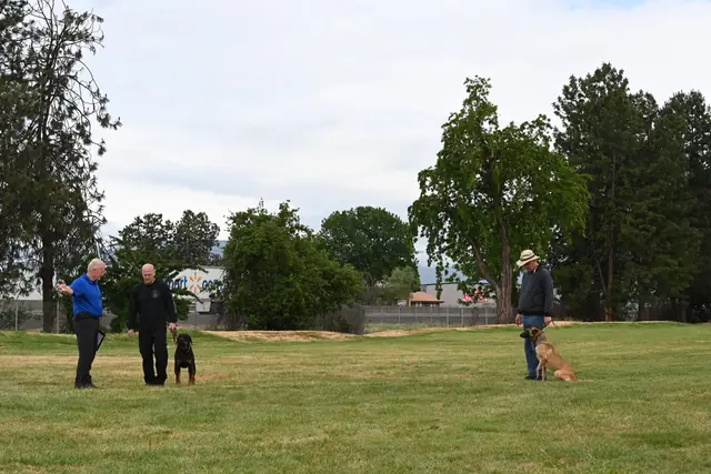 Dog and handler on the field at the May 2022 RVSC spring trial — photo 15