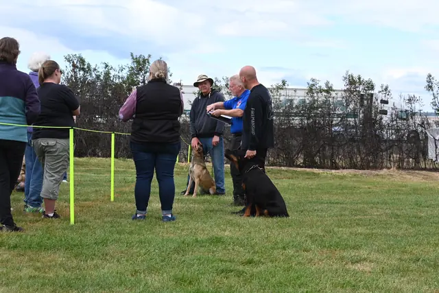 Dog and handler on the field at the May 2022 RVSC spring trial — photo 16