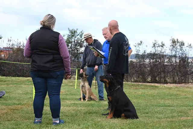 Dog and handler on the field at the May 2022 RVSC spring trial — photo 20