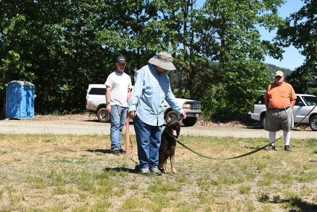 Tim Cutter Schutzhund Seminar on June 3, 2017 — a handler regaining control following a protection exercise — photo 20