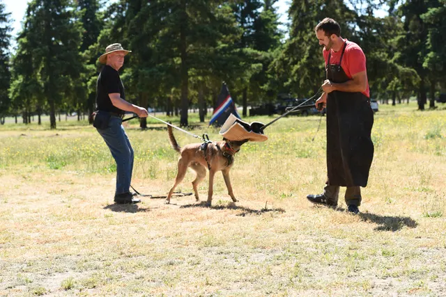Tim Cutter Schutzhund Seminar on June 3, 2017 — a handler, helper and working dog practicing protection mechanics — photo 09