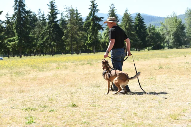 Tim Cutter Schutzhund Seminar on June 3, 2017 — a handler restraining a working dog as the helper sets up the exercise — photo 06