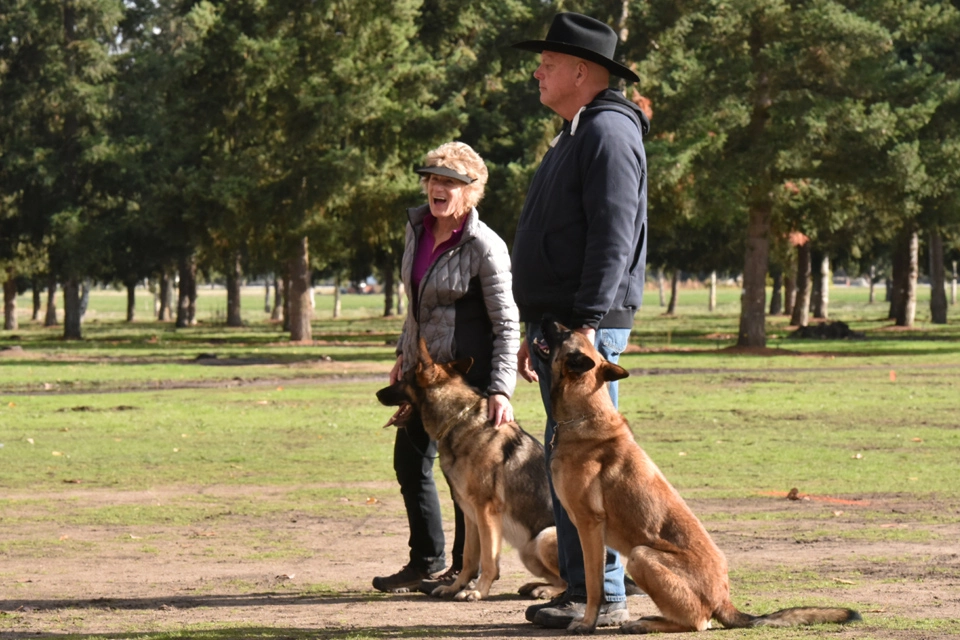 Schutzhund seminar protection training