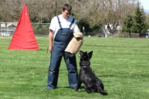 Rogue Valley Schutzhund Club photo 3
