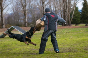 Rogue Valley Schutzhund Club photo 4