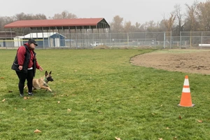 Rogue Valley Schutzhund Club photo 6