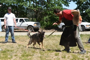 Rogue Valley Schutzhund Club photo 8