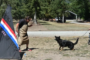 Rogue Valley Schutzhund Club photo 9